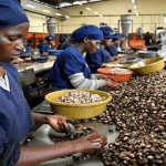FG committed to growth of cashew industry