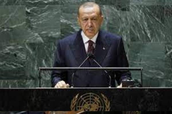 Erdogan wants support for conflict resolution role, UN reform