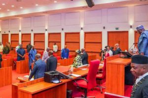 Senate Resumes in Makeshift chamber for last lap of 9th Assembly