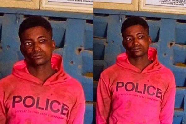 Police arrest suspected kidnapper, r5escue victim in Ogun