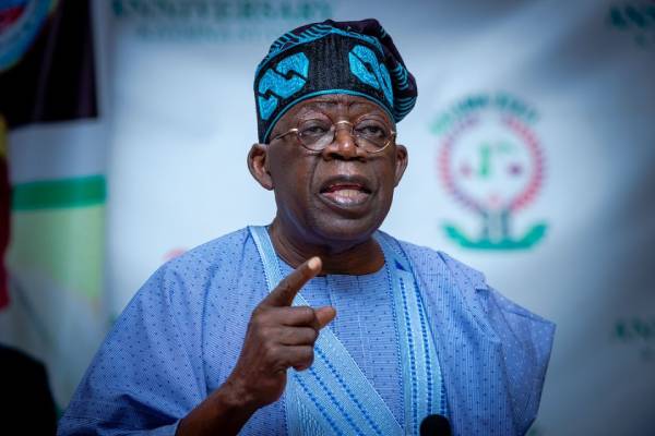Nigeria needs the experienced hands of Tinubu in 2023 - Group