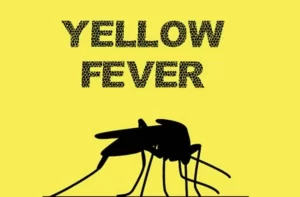 Yellow fever: NCDC reports 14 deaths in 10 States