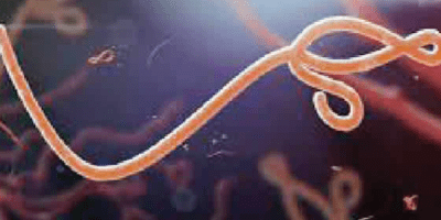 Ebola: NCDC says Nigeria at high risk of importing virus from Uganda