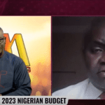 2023 budget will be funded almost entirely from borrowing-Muda Yusuf