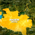 Niger:Boat mishap claims 6 lives, 5 missing