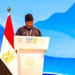 Nigeria taking bold steps to pioneer climate finance instruments - Buhari