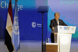 World faces collective suicide, Guterres warns leaders at COP27 summit