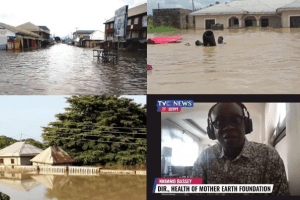 Floods: Bayelsa state not impacted, most false statement anyone can make - Nnimmo Bassey