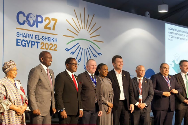 COP27: Activists reject new Africa carbon markets initiative