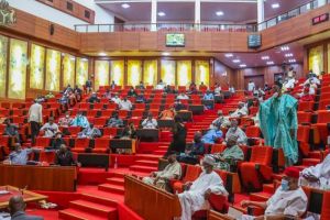 Senate backs redesign of naira, faults timeline for clearing out old notes