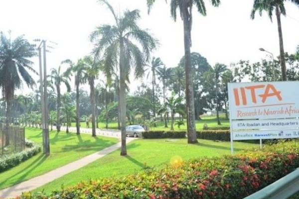 IITA URGES AFRICAN NATIONS TO INVEST MORE IN AGRICULTURE