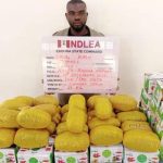NDLEA intercepts 1.7million opioid pills in noodles, others at Lagos airport, Gombe