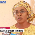 Women in Mining take capacity building to Bauchi State