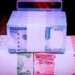 CBN HAS NOT DONE ENOUGH TO CITRCULATE NEW NAIRA NOTES - JH