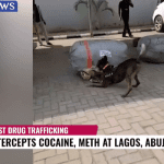 NDLEA arrests 29-year old with 4.5kg of methamphetamine at Abuja Airport