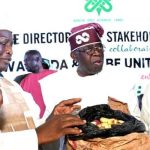 TINUBU PROMISES ALL INCLUSIVE GOVERNMENT, BAGS TITLE IN ABUJA