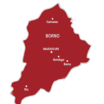 Decision 2023:Voting ends in Borno due to low voters turnout