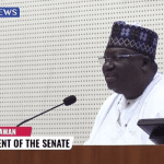 Senate institues c'mmittee to probe Buhari's rejection of 19 constitution review bills