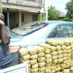 Ondo NDLEA arrests suspect with 228Kg of Indian hemp