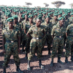 Ethiopian govt to integrate regional forces into national army