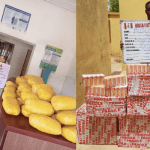 NDLEA seizes various illegal drug consignment at MMIA, Lagos