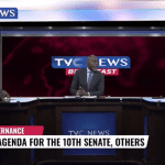 Senate Seat: Too much emphasis on politicking rather than performance-Justice
