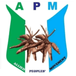 President-elect Tinubu, APC seek dismissal of APM's petition says it lacks merit