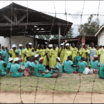 Zimbabwe frees prisoners