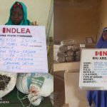 NDLEA destroys 3 tons of skunk in Edo, seizes 76.9kg Loud from Canada