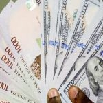 Tinubu's Single Forex Exchange Policy and Its Impact on Nigeria's Economy