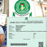 Anambra panel indicts Mmesoma for falsifying her JAMB result