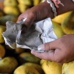 NAFDAC declares war on use of Calcium carbide to ripen fruits