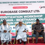 Experts meet in Kano over massive cassava production, bio-ethanol value chain
