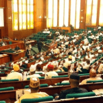 Boundary dispute: Reps move to resolve difference between Nigeria/Cameroon