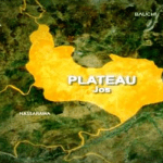 Plateau govt refutes death of 1,000 cows due to strange disease