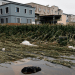 China warns of crop, animal disease outbreak as flood waters recede