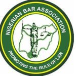 The Nigerian Bar Association Files Petition Against Female Lawyer over Misconduct on Social Media
