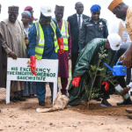 Bauchi State launches tree Planting initiative, prohibits illegal charcoal