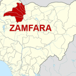 Zamfara govt shuts down Cattle markets in five LGAs over insecurity