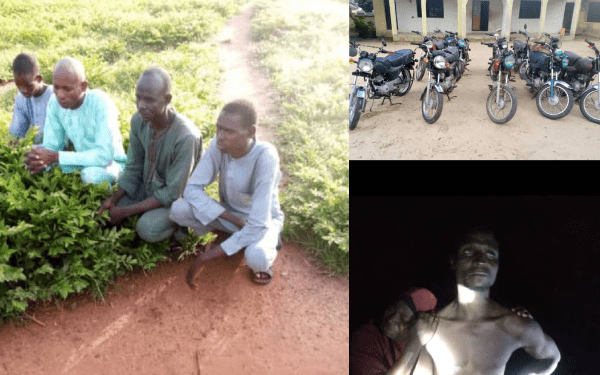 troops foil kidnap, rescue hostages, recover equipment in four states