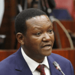 Kenya's Foreign Minister Mutua demoted in Ruto's parliamentary reshuffle