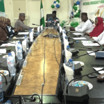 NEMA celebrates 10 years of Disaster Risk Reduction in Nigeria