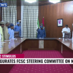 FG inaugurates Steering Committee on NG-Cares