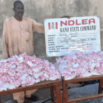 NDLEA intercepts 1,274 parcels of Cocaine, Colorado in Lagos, 5.6m opioid pills in Kano
