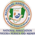 Nurses, midwives seek govts' intervention in addressing challenges of brain drain