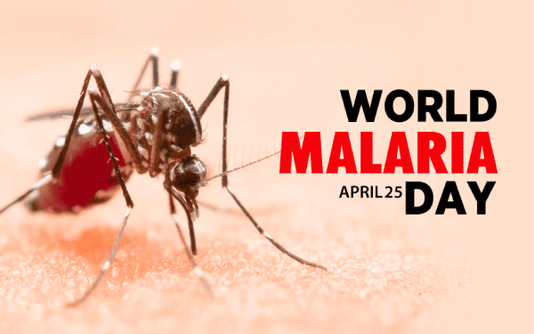 World Malaria Day: Sub-Saharan Nations Roll Out Malaria Vaccine