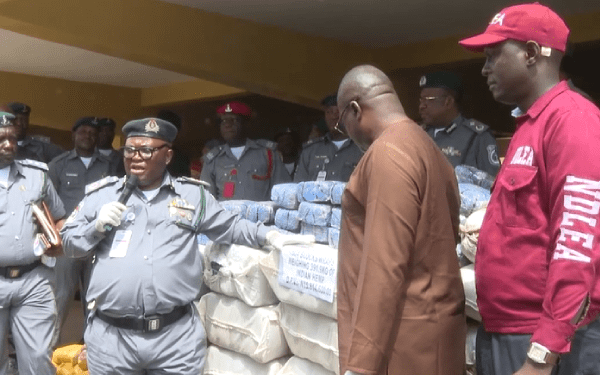 Customs Hands Over Illicit Drugs Worth N15m To Ndlea In Oyo Trending News