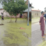 1,200 households homeless as devastating flood hits two communities in Jigawa