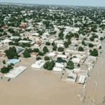 IGP sympathises with Borno govt., residents over devastating flood